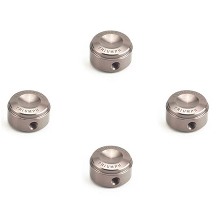 Triumph Head Bolt Covers Kit - Gunmetal